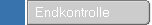 Endkontrolle